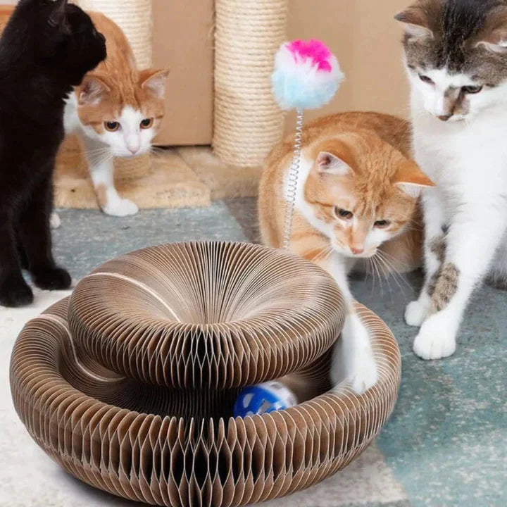 CatMaze™  Katzenspielzeug - Halten Sie Ihre Katze unterhaltsam und aktiv