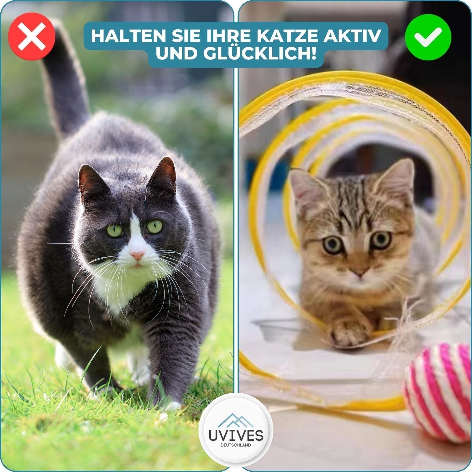MeowMania™ – Integriertes Spielzeug