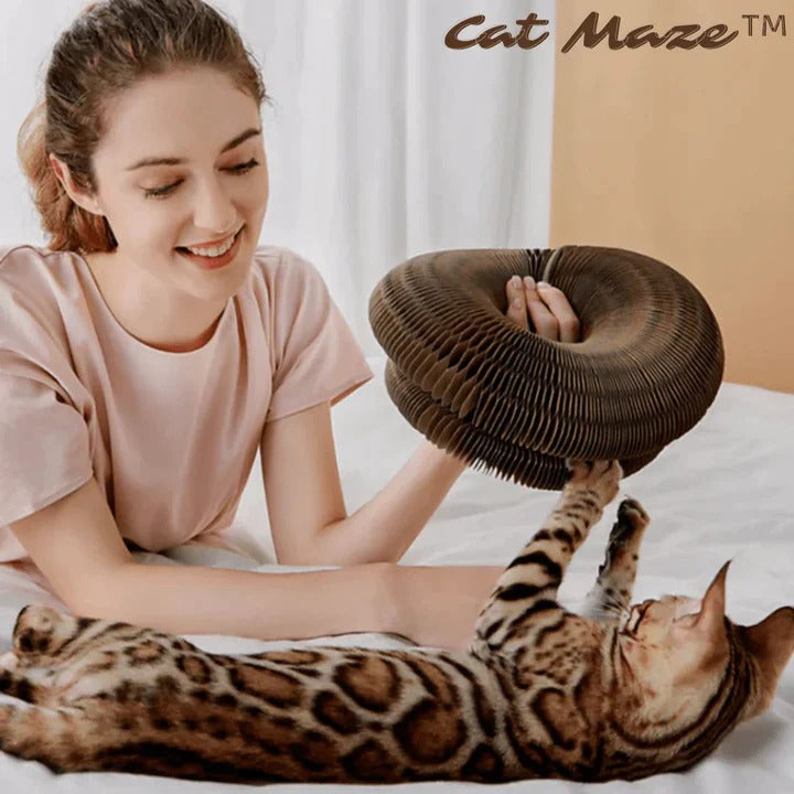 CatMaze™  Katzenspielzeug - Halten Sie Ihre Katze unterhaltsam und aktiv