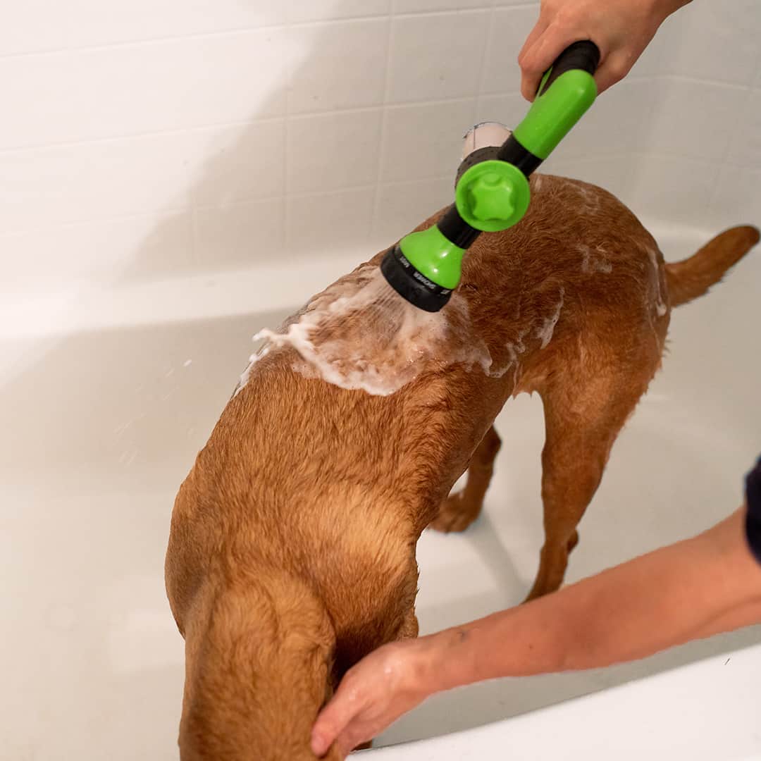 FoamClean™ | Einstellbare Sprühdüse zur Reinigung von Tierfellen [Letzter Tag Rabatt]
