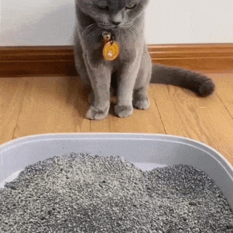 PetClean™ – Weil du ein sauberes Zuhause und ein glückliches Haustier verdienst! [Letzter Tag Rabatt]